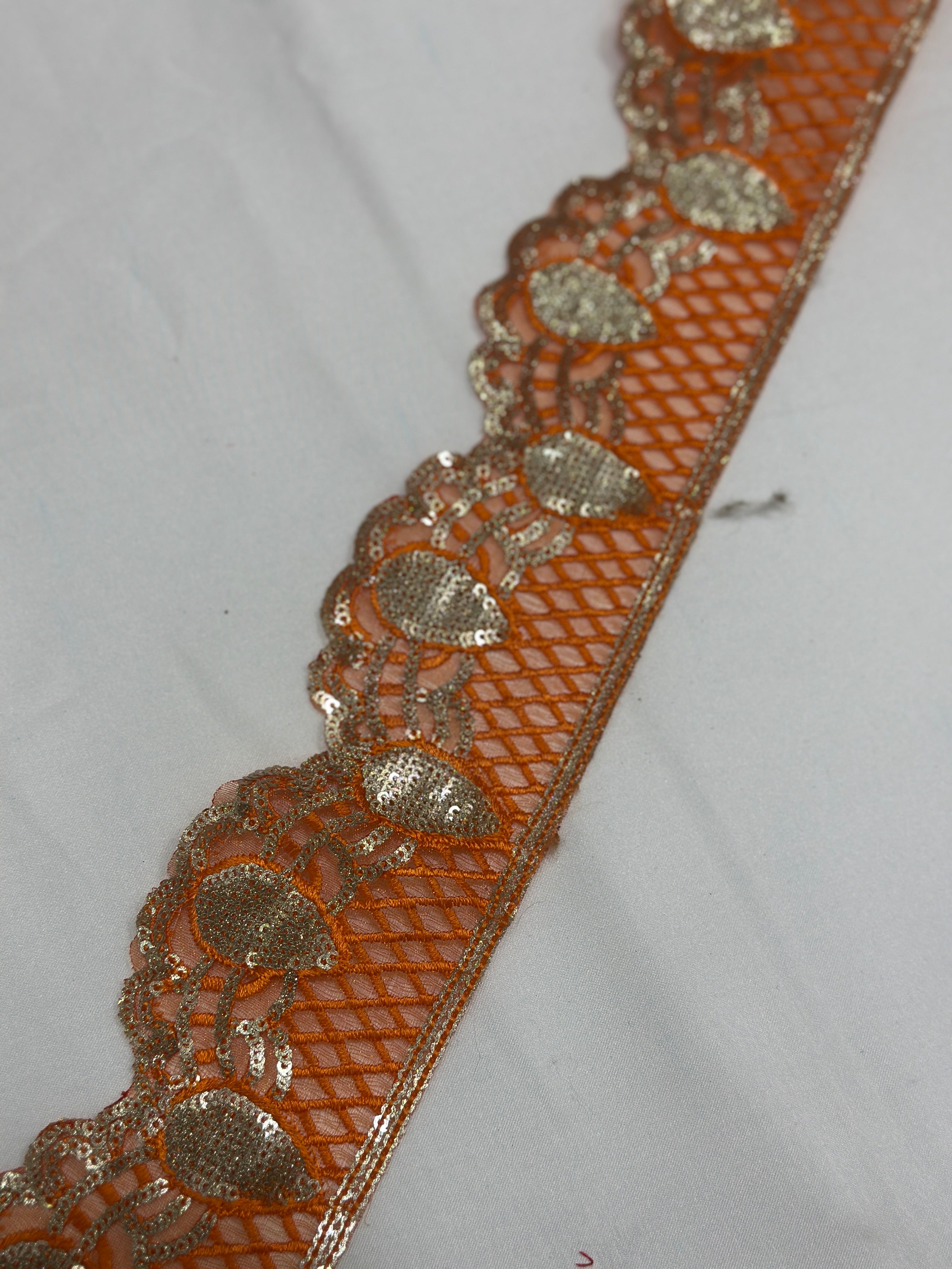 Indian Fancy Border Lace - ( L028 )