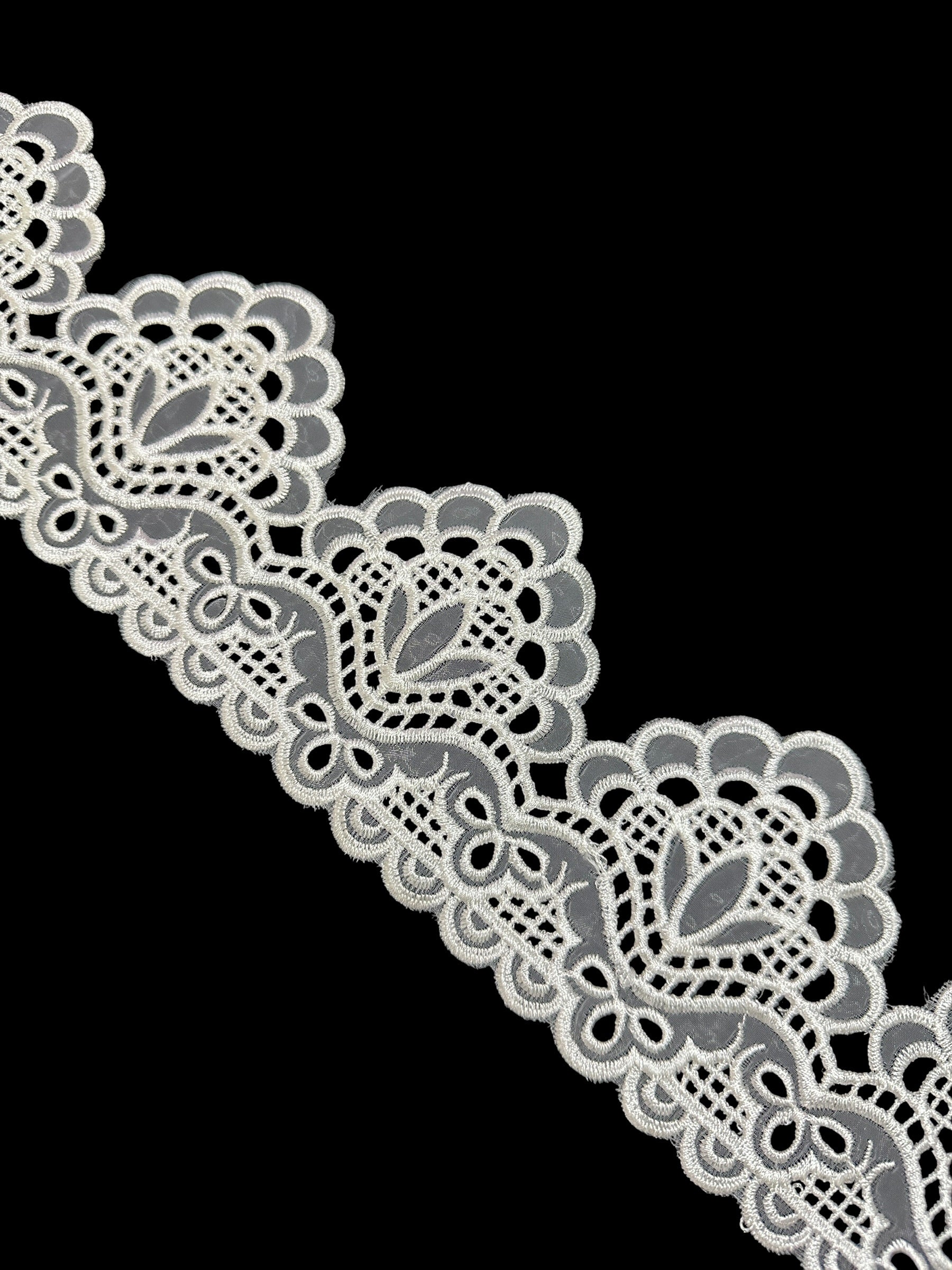🌿Designer Border Lace – Elegant Floral Pattern ( L462 )