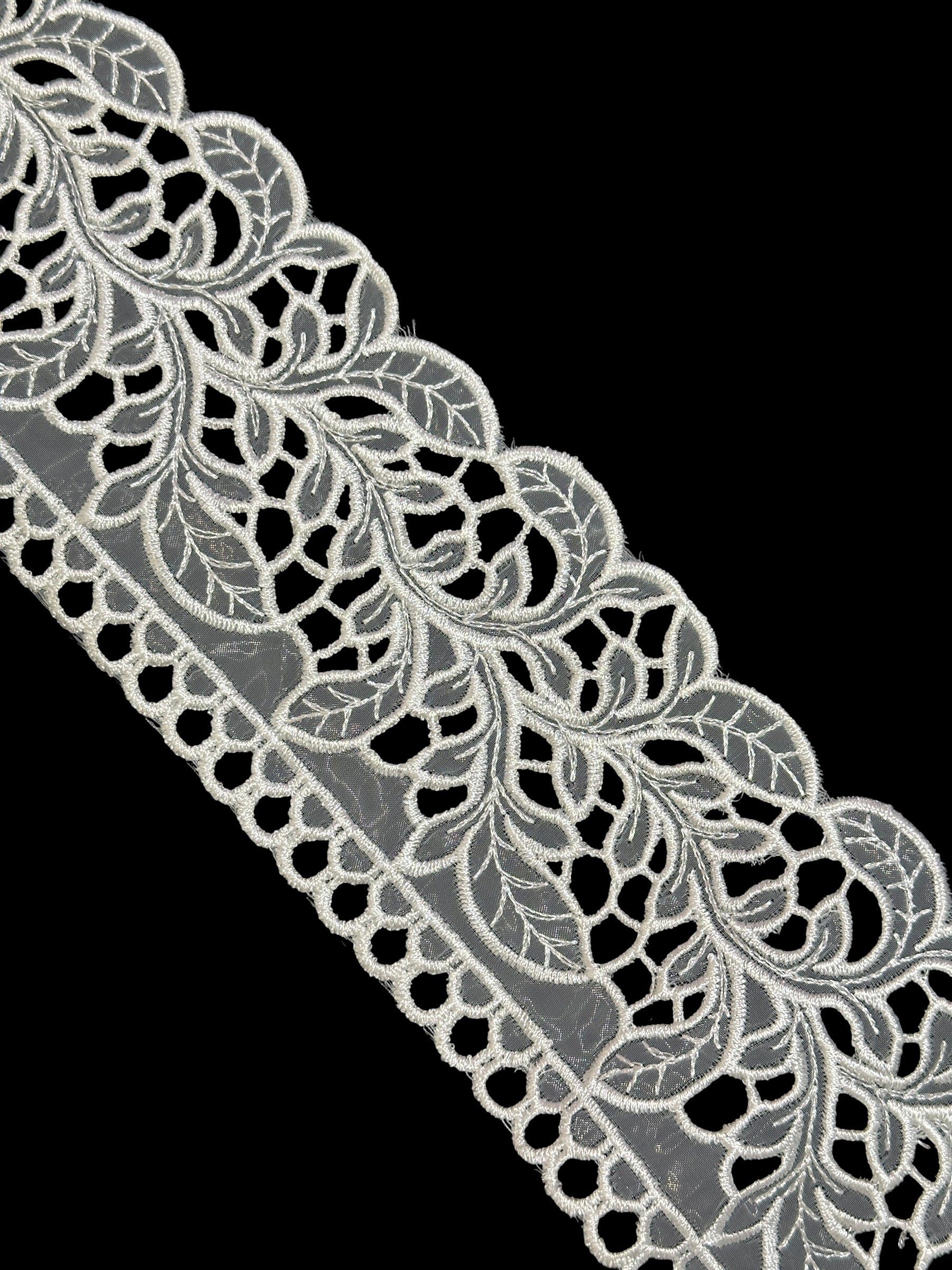 🌿Designer Border Lace – Elegant Floral Pattern ( L465 )