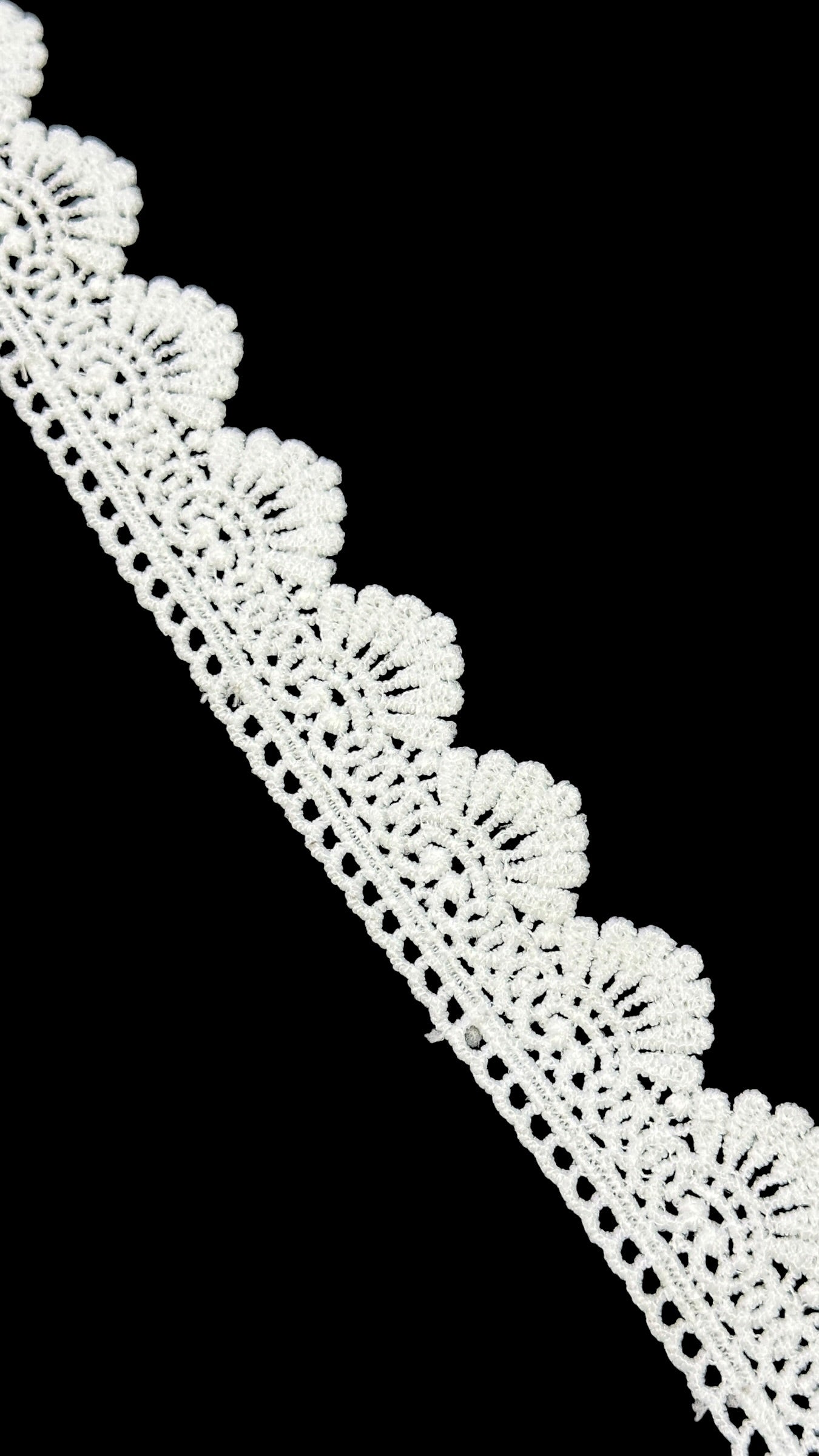 🌿Milky Lace / Dupatta Size - ( L495 )