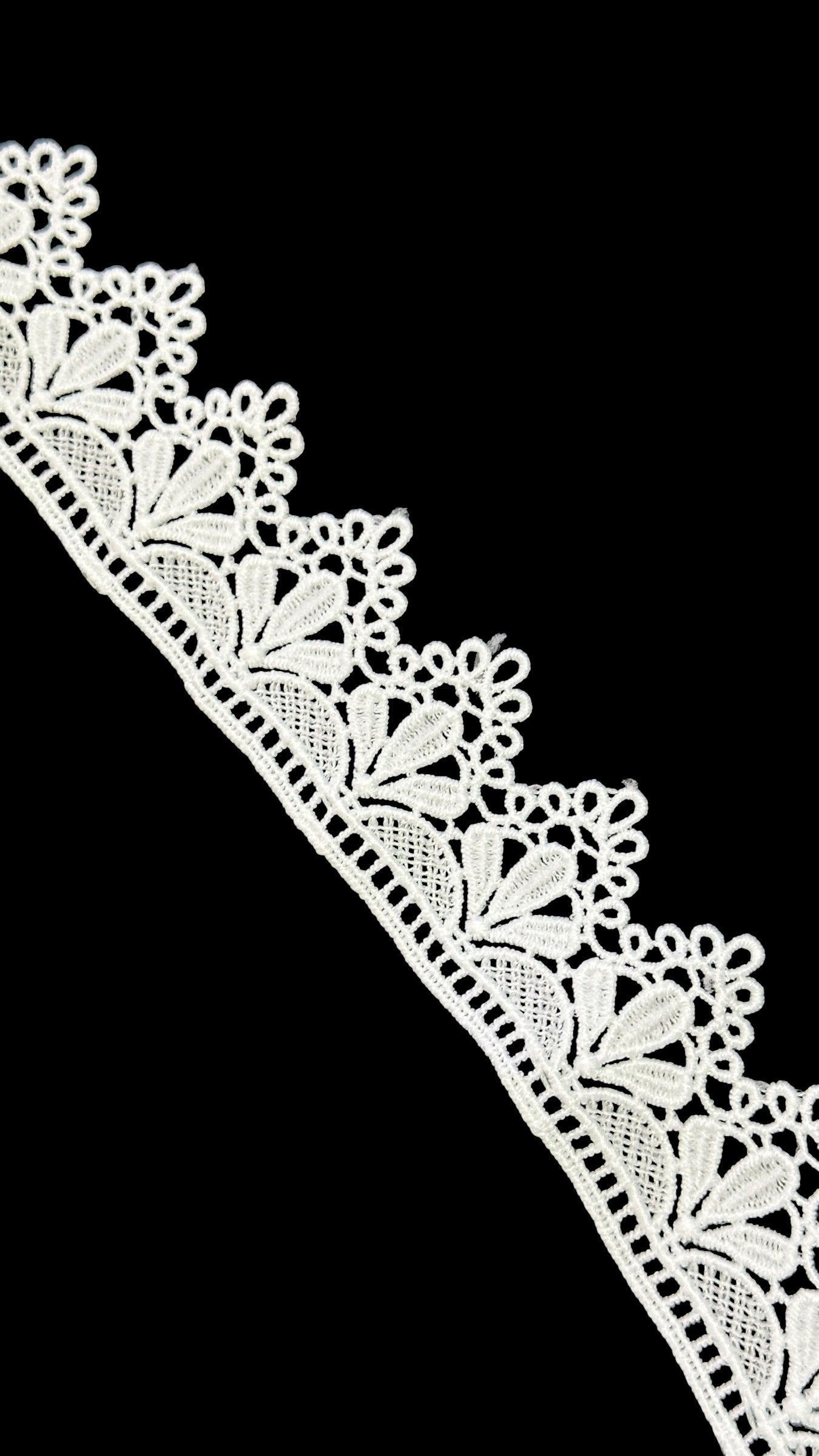 🌿Milky Lace / Dupatta Size - ( L501 )