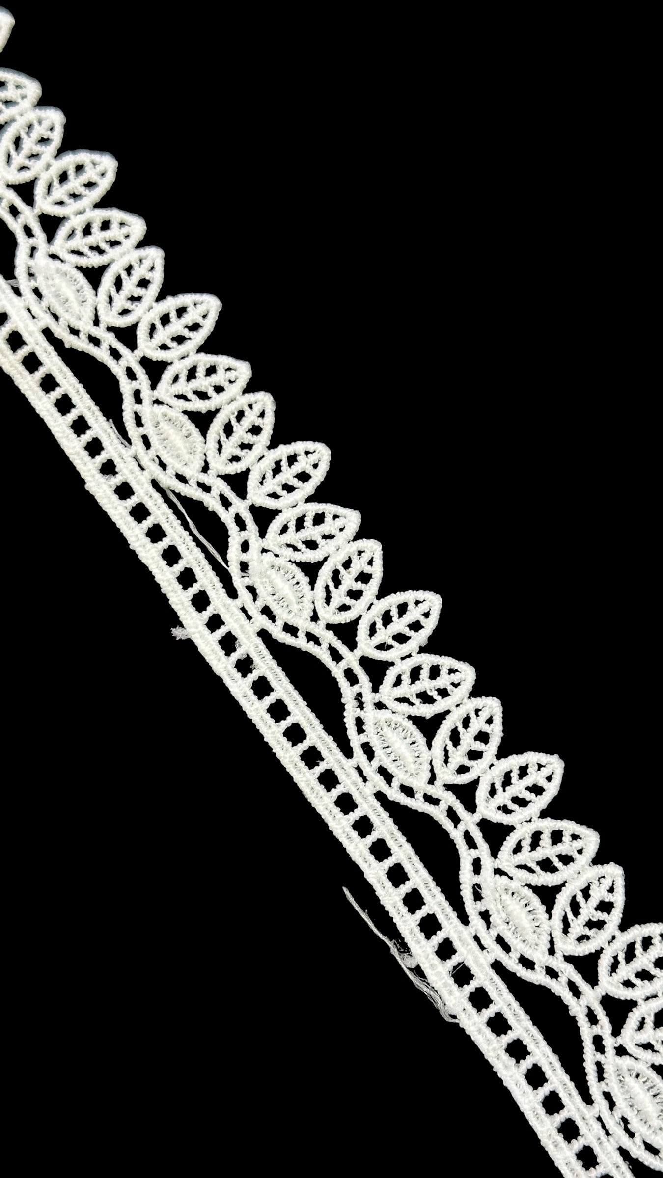 🌿Milky Lace / Dupatta Size - ( L503 )